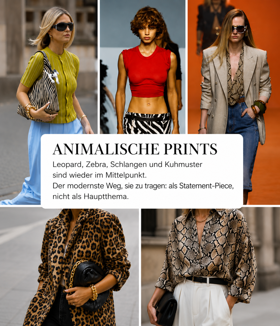 Collage mit Leopard-, Zebra-, Schlangen- und Kuhmuster auf Blusen, Jacken, Hosen und Accessoires.