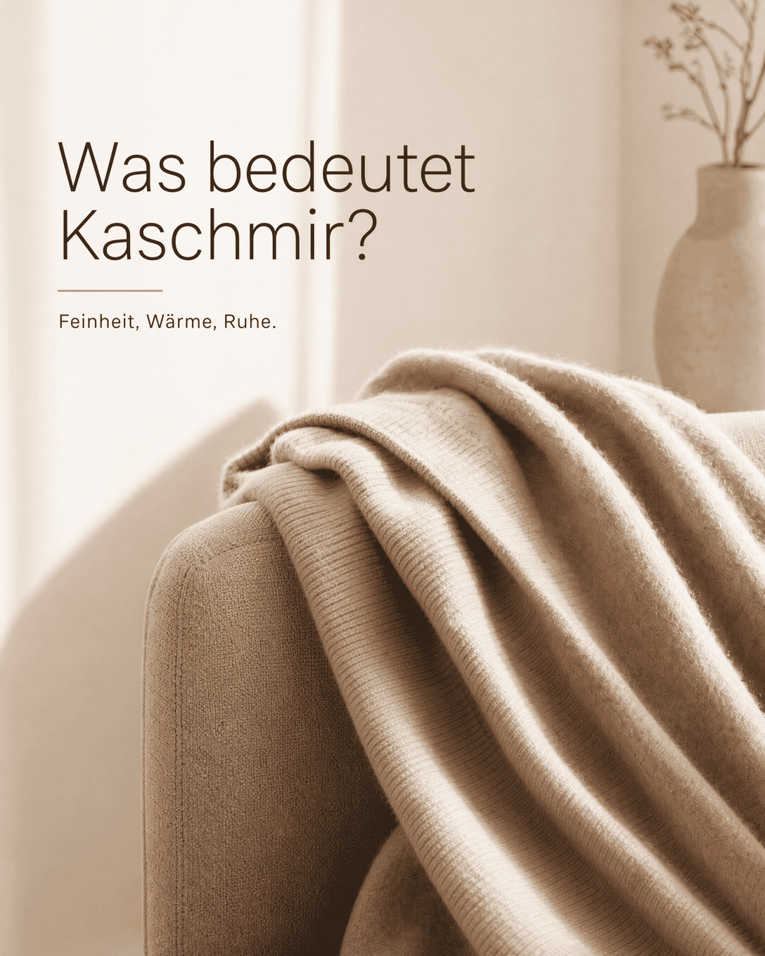Editoriale Glossar-Grafik zu Kaschmir mit ruhigen Farbfeldern und feiner Linienführung