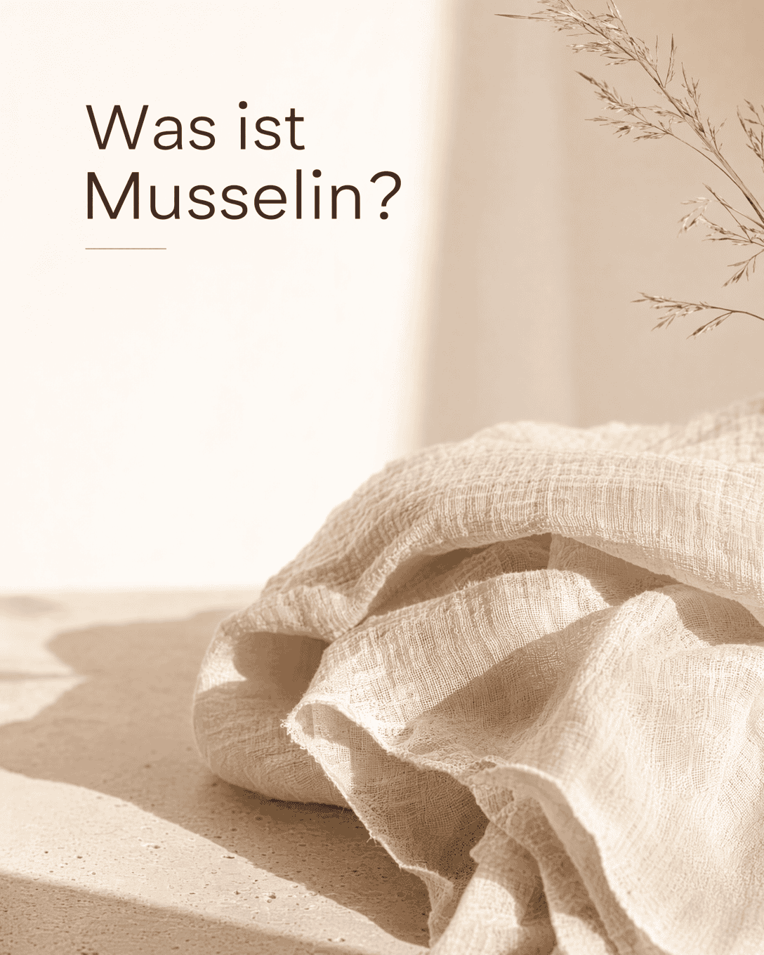 Glossar-Illustration zu Musselin